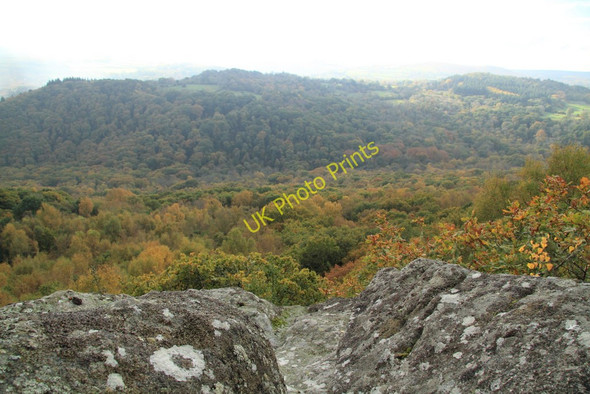 Photo 6"x4" View from Sharpitor Lustleigh c2010