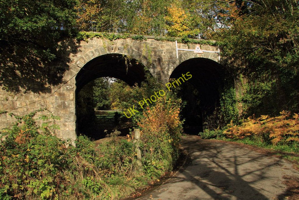 Photo 6"x4" Disused railway bridge Lustleigh c2010