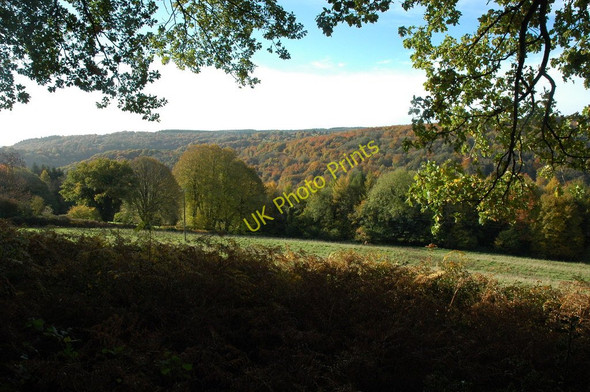 Photo 6"x4" The Wye Valley Tre-gagle c2010