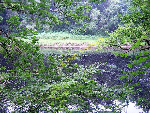 Photo 6"x4" River Cree Challoch\/NX3867 c2006