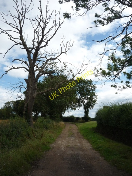 Photo 6"x4" Sandy Lane Alne c2010