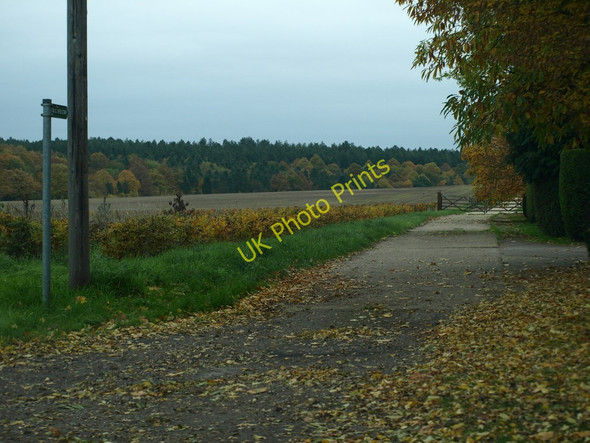 Photo 6"x4" John Bunyan Trail Deadman's Cross c2010