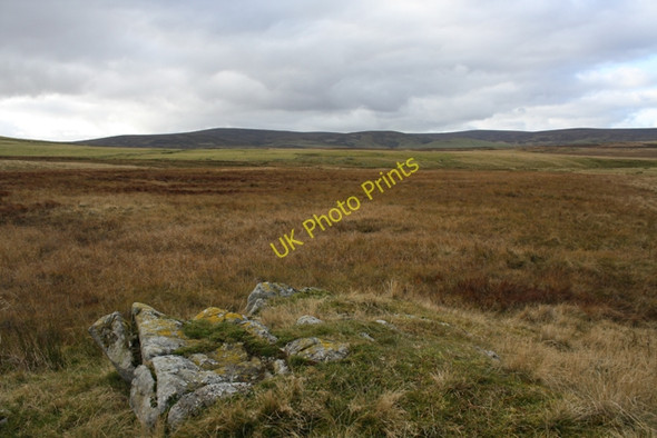 Photo 6"x4" Bog near Powneed Cabrach\/NJ3827 c2010