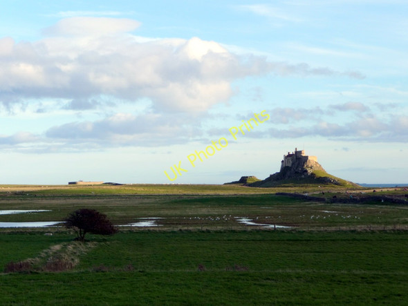 Photo 6"x4" Fields, Holy Island, Northumberland Holy Island\/NU1241 c2010 P1
