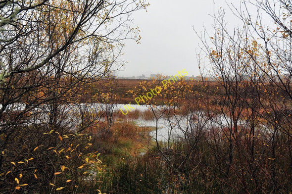 Photo 6"x4" Small lochan on Moss of Achnacree Ledaig\/NM9037 c2010