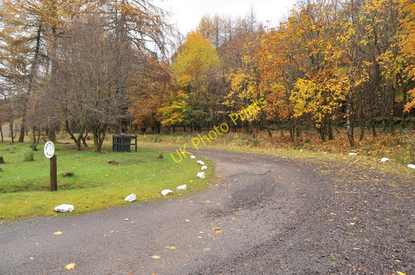 Photo 6"x4" Driveway to houses at Dalmara Knipoch c2010