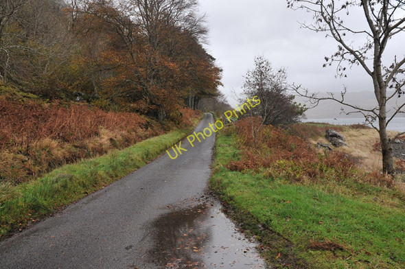 Photo 6"x4" Minor road along the north shore of Loch Melfort Arduaine c2010