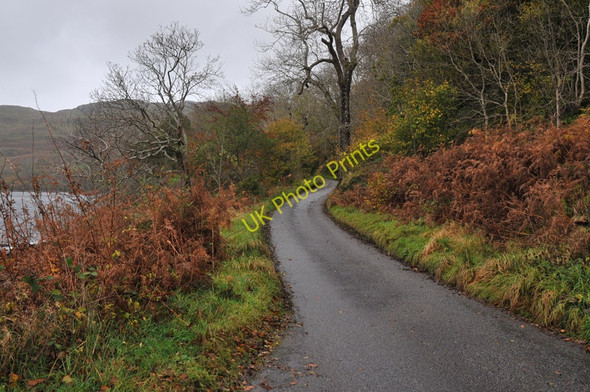Photo 6"x4" Minor road along the north shore of Loch Melfort Arduaine c2010 P1
