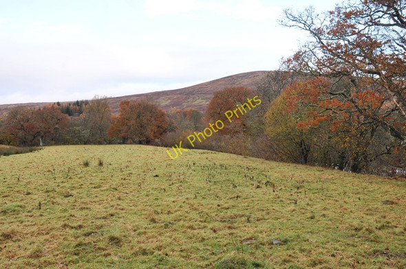 Photo 6"x4" Field on the south bank of the River Spean Inverroy c2010