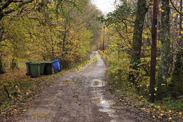 Photo 6"x4" Track to Insh Inverroy c2010