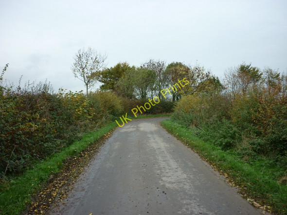 Photo 6"x4" The sharp bend on Arables Lane Winestead c2010