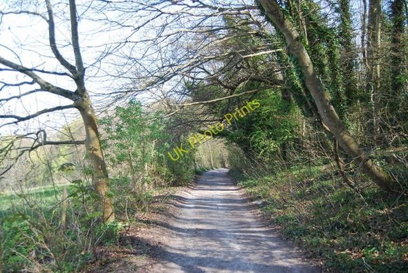 Photo 6"x4" The Wealdway to Folkington Folkington c2010