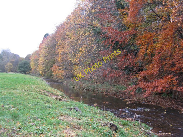 Photo 6"x4" The Whittingehame Water Luggate Burn c2010