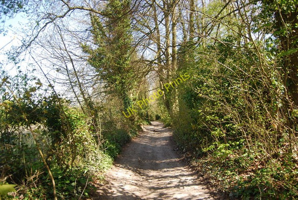 Photo 6"x4" Wealdway to Folkington Folkington c2010