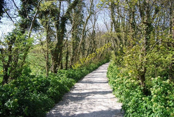 Photo 6"x4" The Wealdway, Folkington Folkington c2010