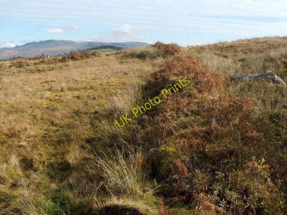 Photo 6"x4" Old field boundary Craighat c2010