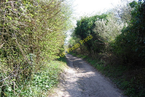 Photo 6"x4" The Wealdway to Jevington Jevington c2010 P1