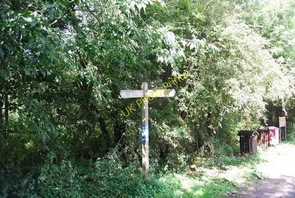 Photo 6"x4" Fingerpost, Haysden Country Park Tonbridge c2010