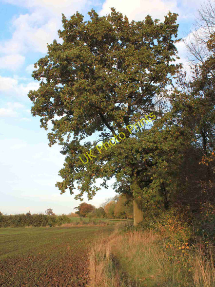 Photo 6"x4" Centenary Way along the side of Itchington Holt Lighthorne Heath c2010
