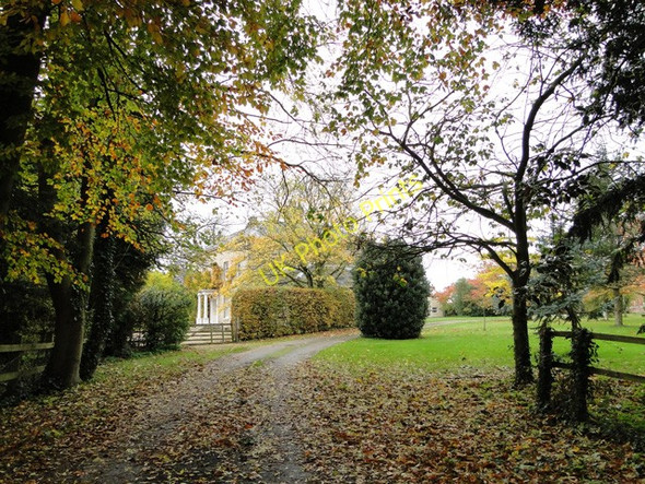 Photo 6"x4" Loddon Hall Hales\/TM3897 c2010