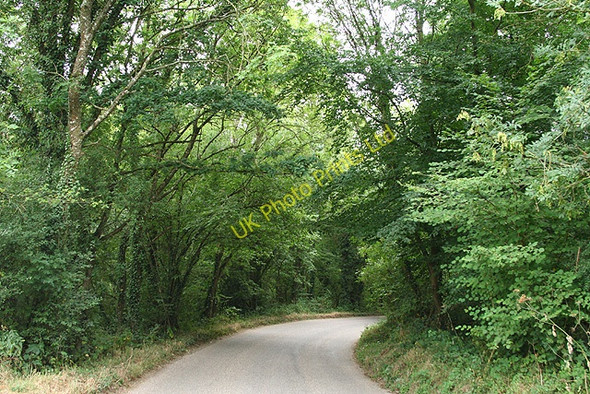 Photo 6"x4" Kennerleigh: road in Kennerleigh Wood Kennerleigh c2006