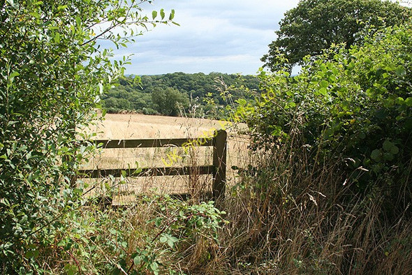 Photo 6"x4" Woolfardisworthy: footpath to East Emlett Black Dog c2006