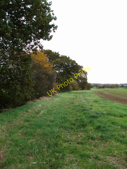 Photo 6"x4" Hidden in the trees Rawreth c2010