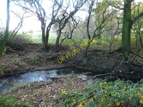 Photo 6"x4" Hey Beck Haigh Moor c2010