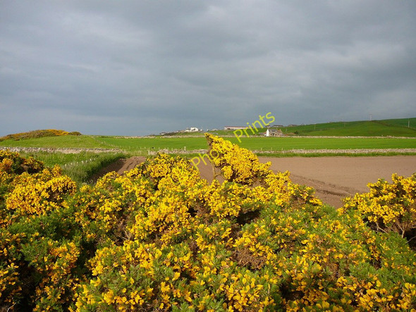 Photo 6"x4" Ploughed field east of Inverboyndie Banff\/NJ6864 c2010
