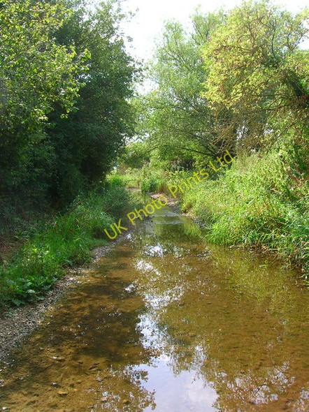 Photo 6"x4" Ford Water, River Lavant East Lavant c2006
