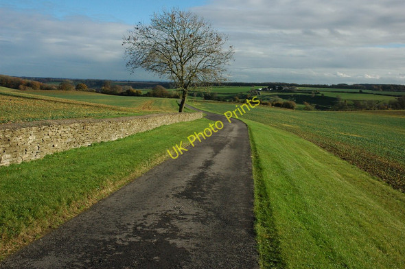 Photo 6"x4" Driveway to Binley Farm Bencombe c2010