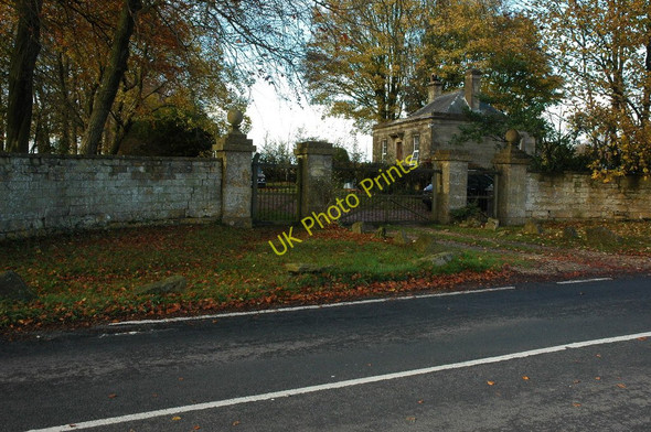 Photo 6"x4" South Lodge Bencombe c2010