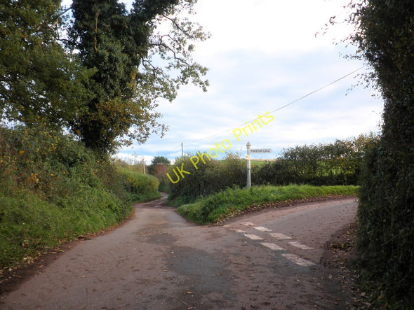 Photo 6"x4" Preston Cross Higher Vexford c2010