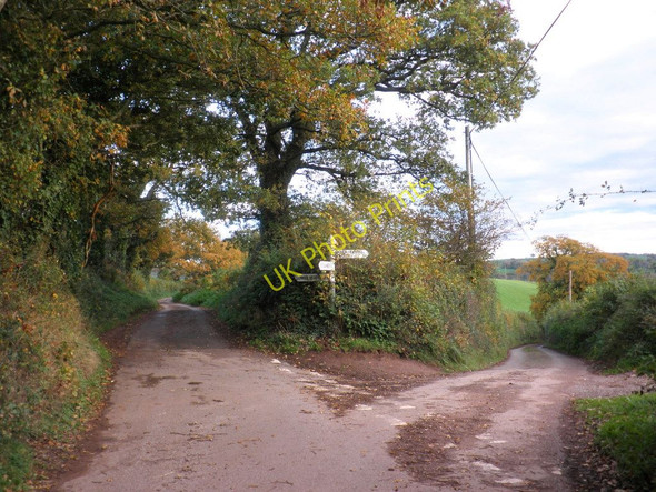 Photo 6"x4" Turning for Higher Vexford Higher Vexford c2010