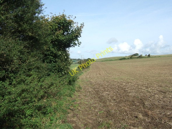 Photo 6"x4" Hedge between fields, near Niton Kingates c2010