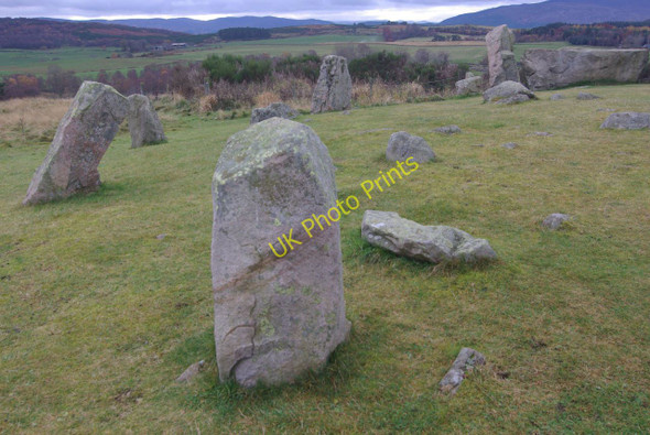 Photo 6"x4" Tomnaverie Stone Circle Tarland c2010 P1