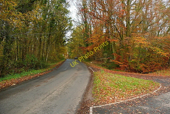 Photo 6"x4" Towards Kingston Blount Crowell Hill c2010