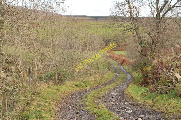 Photo 6"x4" Farm road to East Kilbride Farm Helensburgh c2010