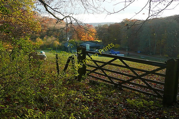 Photo 6"x4" Wellground Farm Ibstone c2010
