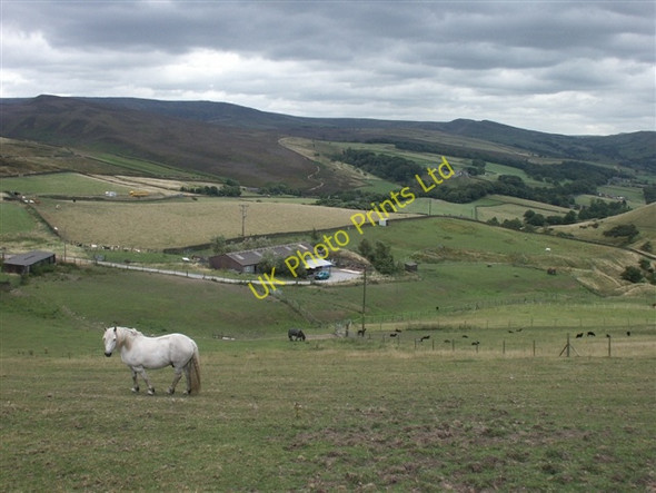 Photo 6"x4" Taiga Farm Brookhouses\/SK0289 c2006