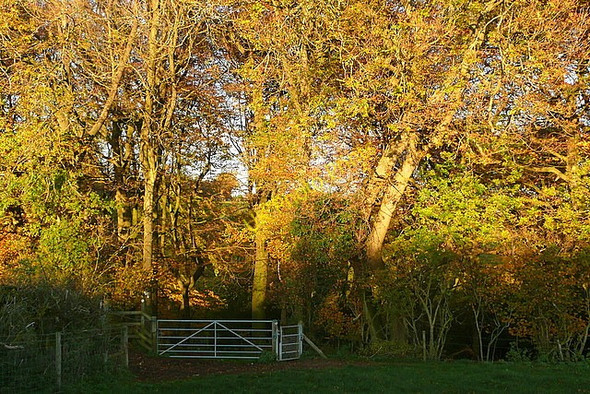 Photo 6"x4" Footpath towards Stokenchurch Stokenchurch c2010