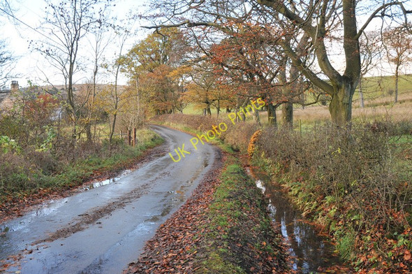 Photo 6"x4" Barraston Road Torrance\/NS6274 c2010