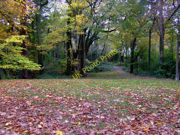 Photo 6"x4" The Glen at Glen Avenue Gourock c2010