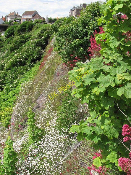 Photo 6"x4" Flowery crag, Crail Crail c2010