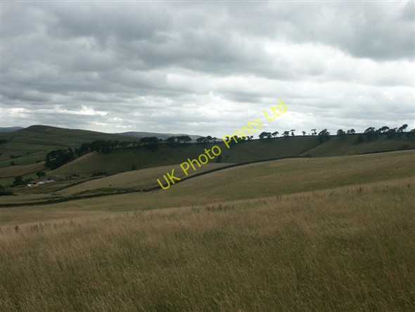 Photo 6"x4" Hey Brows from Monk's Road Brookhouses\/SK0289 c2006