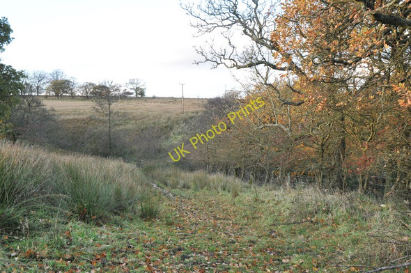 Photo 6"x4" Farm track near Muirhead Lennoxtown c2010