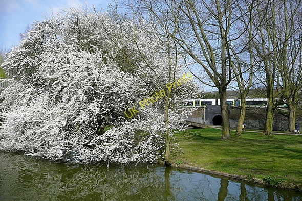 Photo 6"x4" Canal through Berkhamsted Berkhamsted c2010