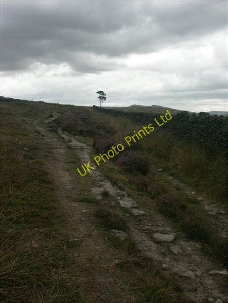 Photo 6"x4" Footpath, Middle Moor Little Hayfield c2006