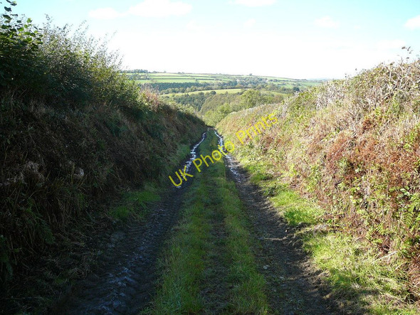 Photo 6"x4" Track west of Clyngwyn Farm and part of Landsker Borderlands Trail Efailwen c2010