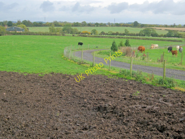 Photo 6"x4" Entrance track to Orchard Wood Farm Maplebeck c2010